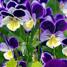 �M����ɫ���N�� ؈��Ę�����������N�� �ļ��̨ͥԺ���Ի��ܷN��