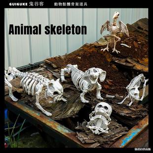 Halloween Animal Skeleton Artificial Cat and Dog Crow Skull Bone Props Horror Ornaments Secret Room Haunted House Decorations