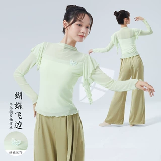 古典舞服仙气女半高领蝴蝶小飞袖网纱成人飘逸中国形体练功服上衣
