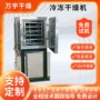 冷冻烘干真空柠檬片干燥机