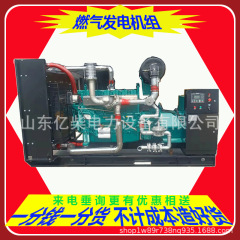 イ柴玉柴上柴済柴ガス発電機ユニット養殖ホテル工事現場電気溶接消防予備病院工事