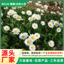 ]rշN̨԰Uذͺ׻ͥԺG