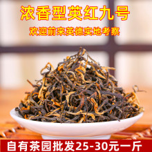 高山老树春茶英德红茶浓香型英红九号红茶批发散装袋装茶叶新茶