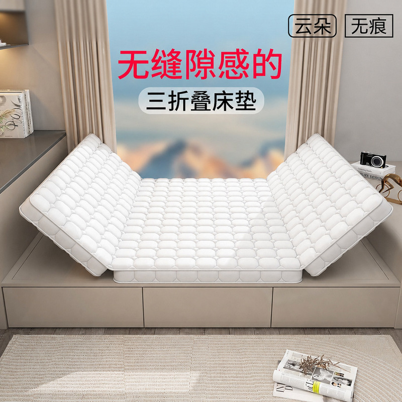 Foldable mattress 70% off latex coconut palm tatami special moisture-proof floor mat for single-person home bedroom use