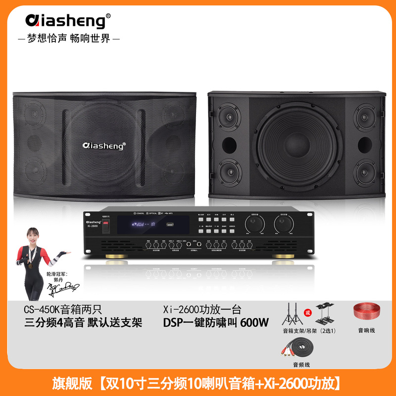 QIASHENG 家庭KTV音响套装卡拉OK点歌机专业音箱全套K歌影院设备|undefined