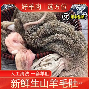 ����� ���r�F����ë�� ����ˮ ���s ��θ ɽ�����1500�˰��]