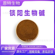 锁阳生物碱锁阳提取物 1kg/袋 食品级原料 恩特生物 现货包邮
