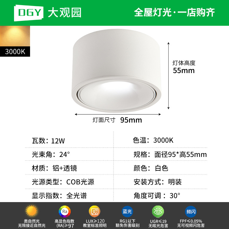 Da Guan Jardín luz de reflector anti-deslumbramiento colina sala de estar sin luz principal luz de techo downlight led corredor luz de techo 495L image 21