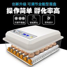 外贸批发小鸡孵化器小型家用智能孵化机跨境鸡蛋孵蛋器智能孵蛋机