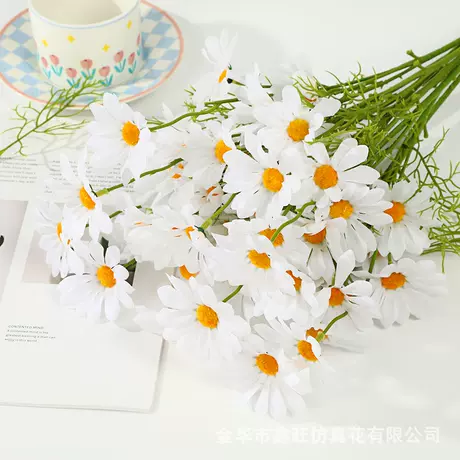 White daisy