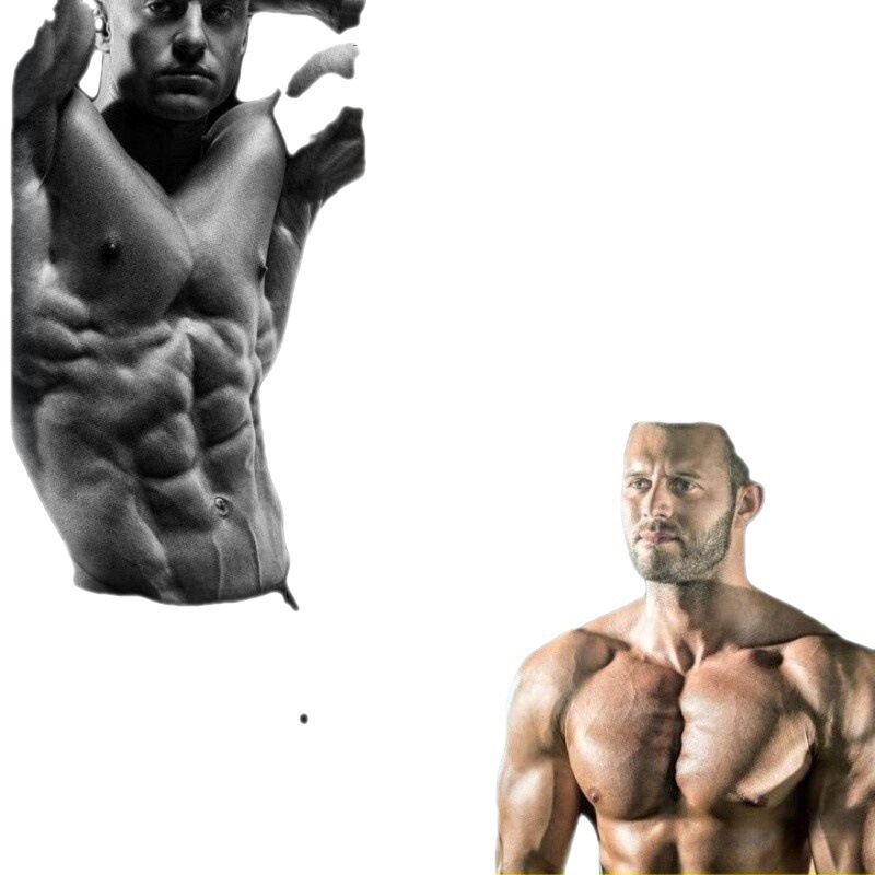 Whey Protein Powder Fitness Muscle Gain Powder Protein Powder Men and Women Muscle Gain Weight Gain Muscle Powder Wholesale