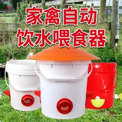 新款型防雨养鸽鸡鸭鹅全自动喂食器家禽食槽喂料桶懒人喂鸡盆