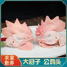 食品级大号大冠子鸡头生鲜速冻公鸡头农家散养土鸡头烧烤大鸡头