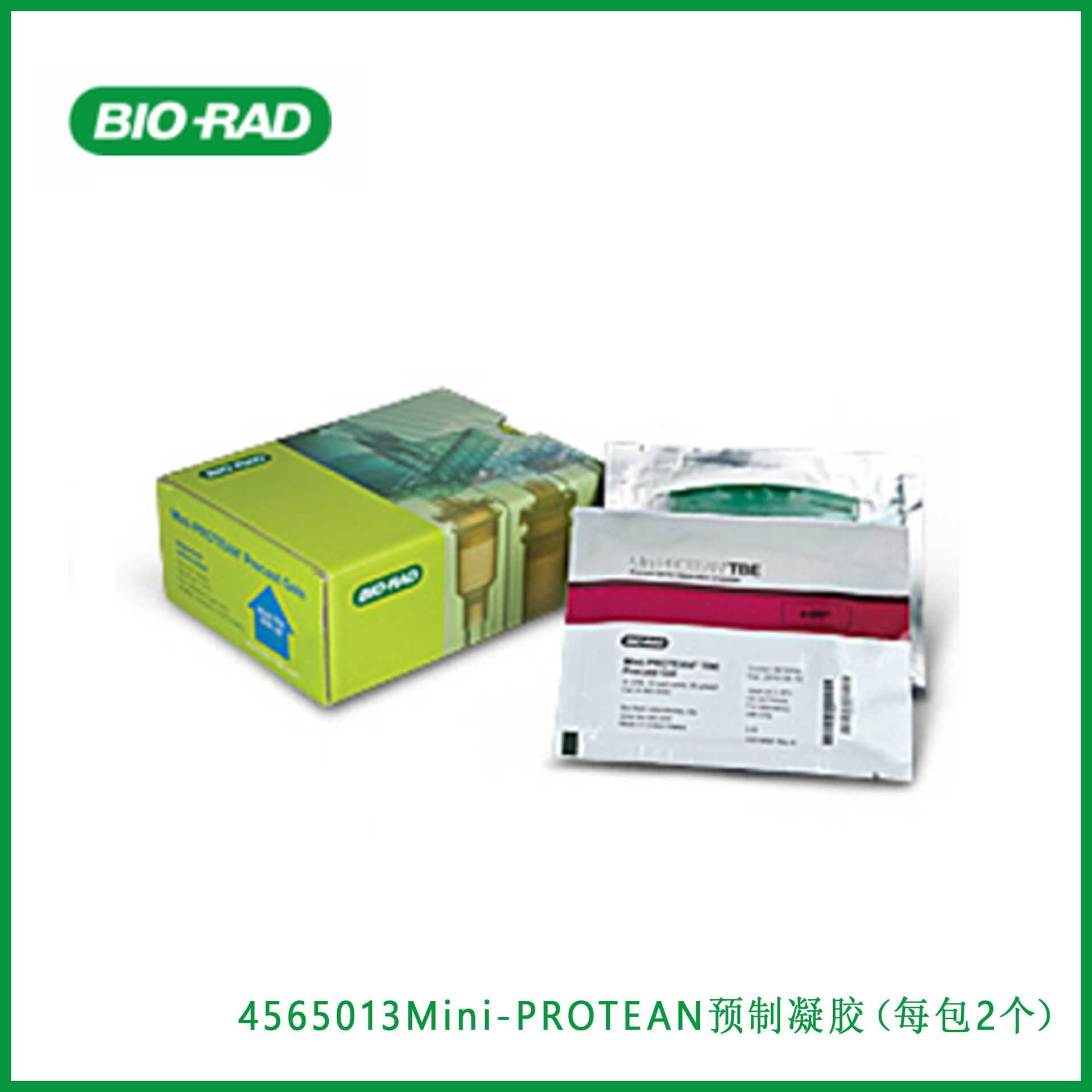 伯乐Bio-Rad  4565013  Mini-PROTEAN预制凝胶（每包2个）