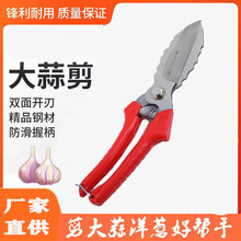 �@���i䓼�����ļ��� ��������[�r�ü� 厵���������l����