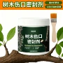 表面伤口修补密封保护剂