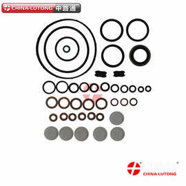 燃油系统Repair kit  800637  油泵大修包图片  800647