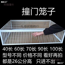 捕鸽神器 抓鸽子笼全自动收鸽笼天落笼楼顶户外只进不出野麦太保