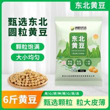 6斤黄豆黑龙江非生豆芽打豆浆豆批发源头工厂一件批发厂批发代发