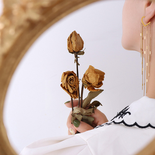Korean-style light luxury Instagram-style long tassel earrings, VIP copycat versatile titanium steel earrings for dropshipping F547