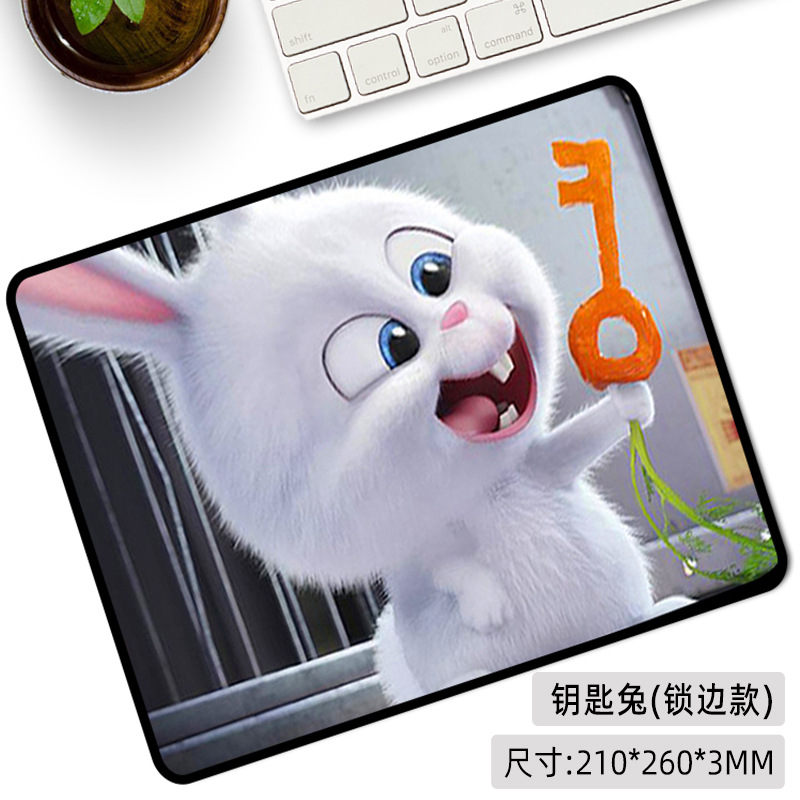 열쇠 토끼 (자물쇠 가장자리)