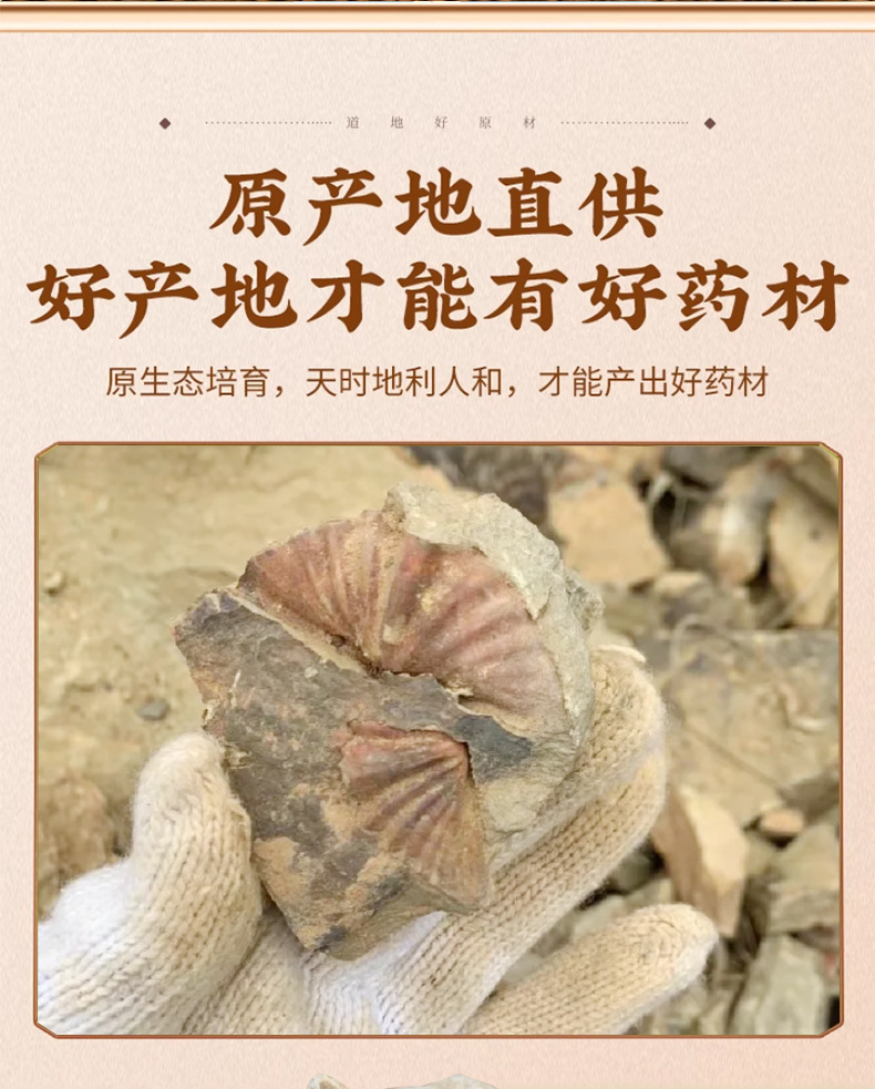 Shi Yan Water-Processed Fossil Stone Swallow Dried Mineral Herb 500g Traditional TCM Decoction Ingredient key features