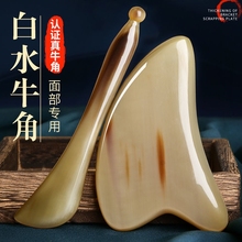 ˮţǹ沿ĘùĘ۲ܽŮȫͨþo