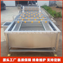 自动输送提升式桃子油桃清洗机器 毛桃无花果气泡喷淋清洗机设备