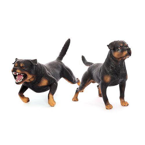 Solid static simulation animal toy dog ​​model, Rottweiler vicious dog, children's cognitive teaching aids, ornaments, figures