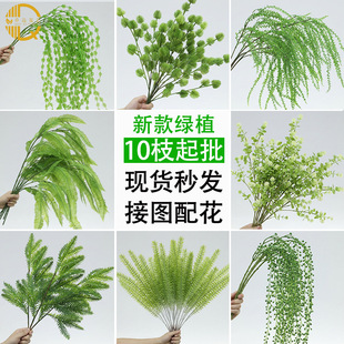 �Gɫ����ֲ��ɭϵ���滨�Gɫ���nϵ�Gֲ����ާ�Y�b�ֲ���쾰