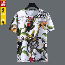 2024����T�����ļ����ό��ɼӷʼӴ�a������͸�ⱡ���\���ٸ�t��