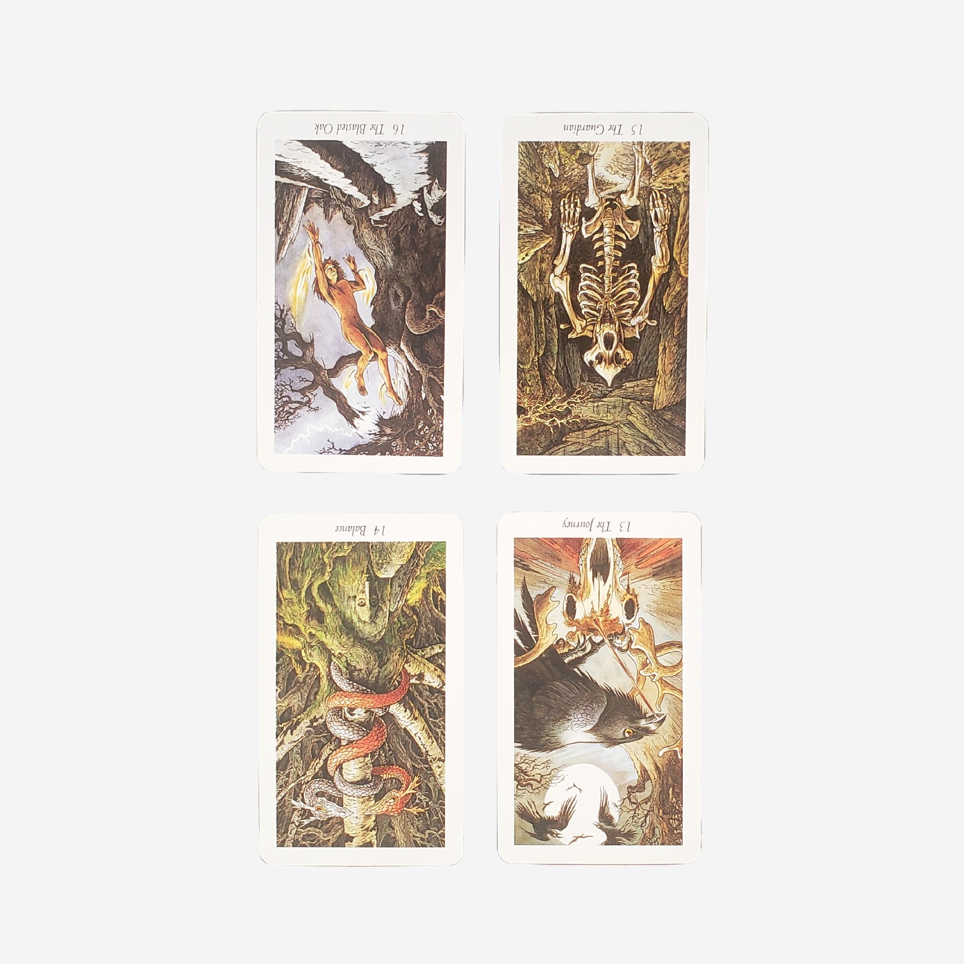 Carte da gioco tarot foresta naturale selvaggia per feste_voghion.com