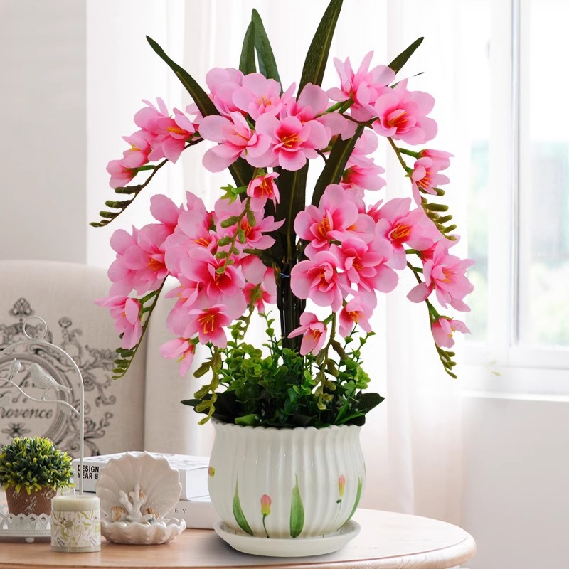 207 Xiangxuelan 9 핑크