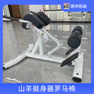 Commercial Roman Chair Goat Lifting Machine Multifunctional Waist Twister Boats Fitness Lumbar Muscle Abdominal Muscle Trainer Roman Chair