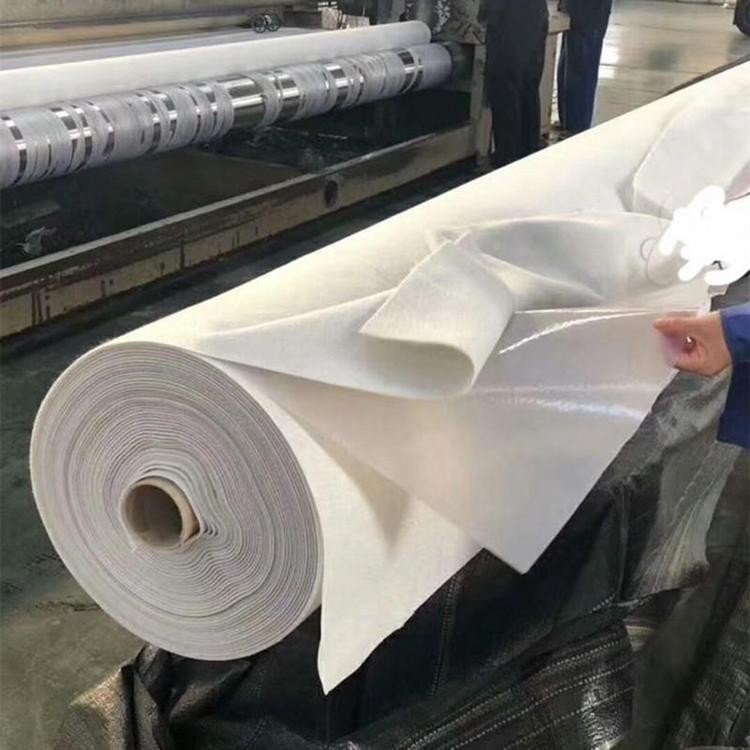 人工湖蓄水池复合土工膜垃圾填埋场污水池两布一膜复合膜防渗防水