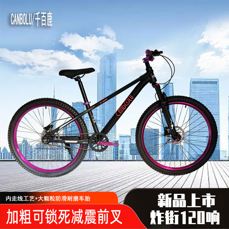 Dirt Bike, Street-Ready Single-Speed Shock-Absorbing Downhill Mountain Bike, Professional Version, Off-Road Youth Sports Bicycle
