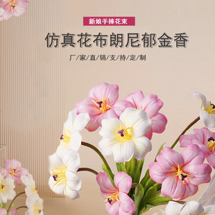 ���滨���߼�������������ҾӲ����b�ˇ�Ĕz�������������ٻ�