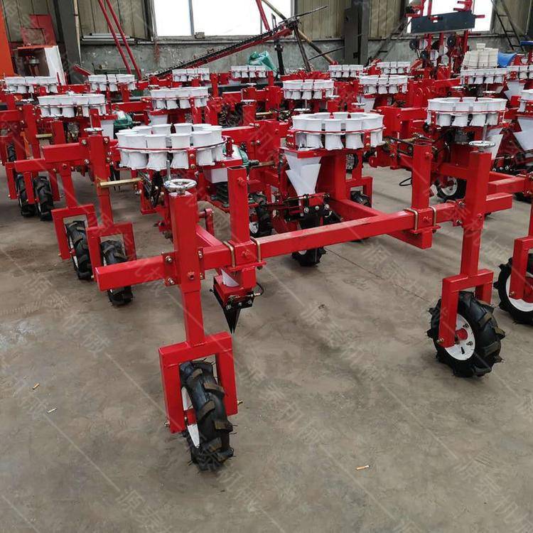 Máquina de trasplante de plántulas de patatas dulces Máquina de trasplante de plántulas de acero inoxidable Vegetales colza plantación de col una mina