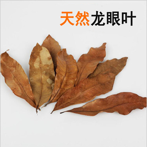 Aquarium Fish Tank Betel Leaf Water pH Small Scale Treatment Soft Water Acid Control Betta Fish Lazy Person
