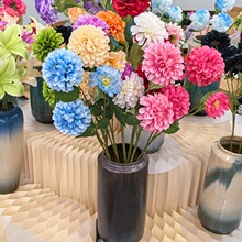 ���l���Q�羳��֧3�^�����c�Ƶ�Ҿ��b��滨���۾ռٻ��[��