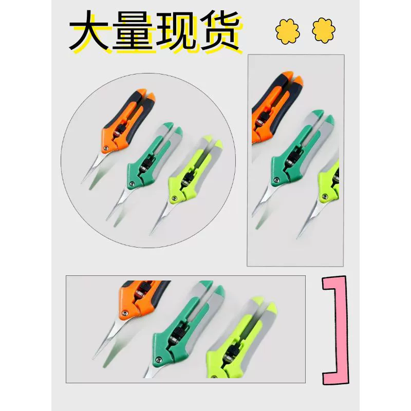 Садовые ножницы из нержавеющей стали, секатор, ножницы для обрезки веток, ножницы для сбора винограда, ножницы для фруктов