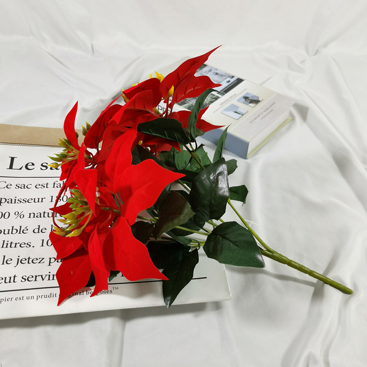 IMG_20220215_160709_副本