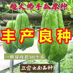 ���ֹϷN�������ش���ֹϷN���߲����٘������Զ�����ǧ��ϷN��