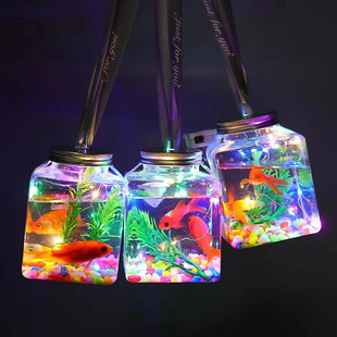 New Internet Celebrity Luminous Canned Fish Ornamental Fish Bottled Micro Landscape Luminous Fish Full Set of Material Package Night Market Stall