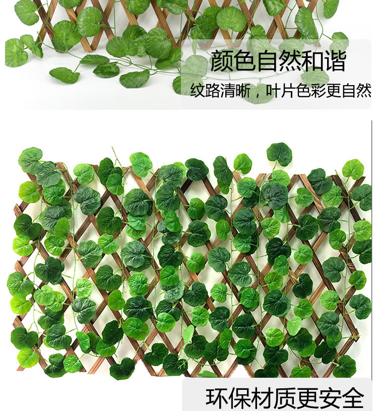 绿植藤条详情_07.jpg