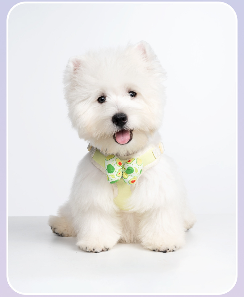 Dog Harness With Interchangeable Bow Tie For Small Dogs Outdoor_voghion.com