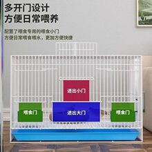 养芦丁鸡笼子饲养专用笼家用室内大号雏鸡雏鸭小鸭小鸡宠物笼加密