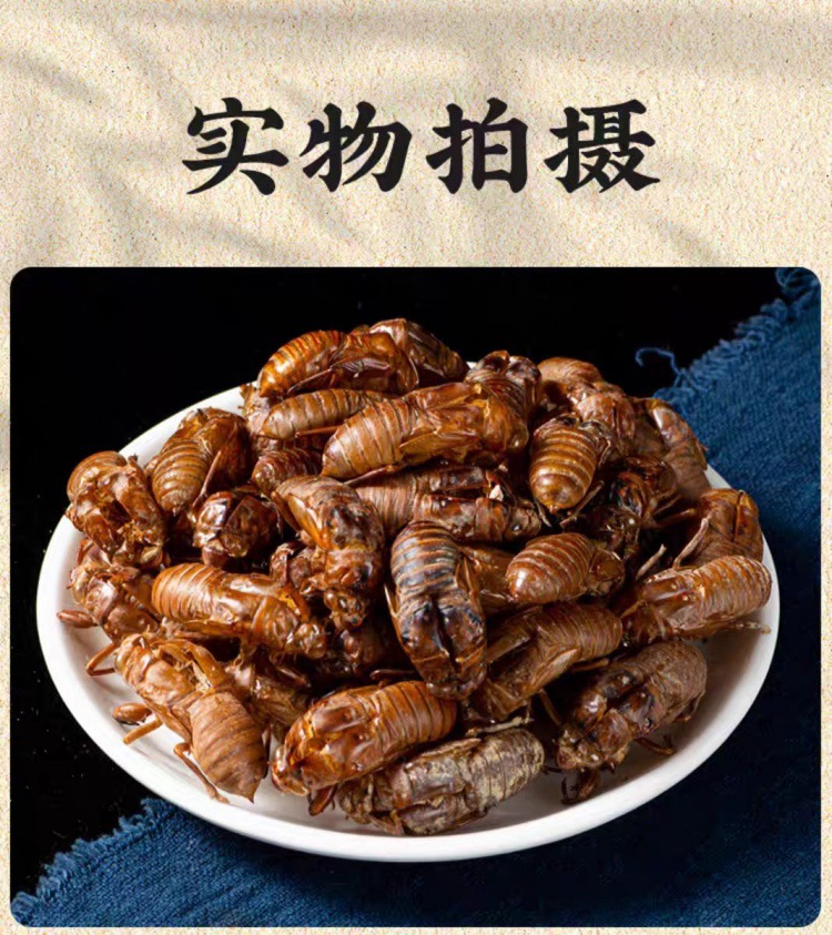 Chan Tui (Cryptotympana pustulata) — Wild-Harvested Dried Cicada Slough, 500g specifications