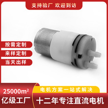 定制微型水泵 沖牙器直流隔膜泵 PYP310水泵 直流氣液通用管道泵