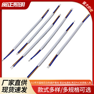 Two-Core Wire 0.3 Square Meters, Blue and Brown Core, White Flat Sheathed Wire, Driver Power Cable, Two-Core Pvc Material, High Temperature Resistant